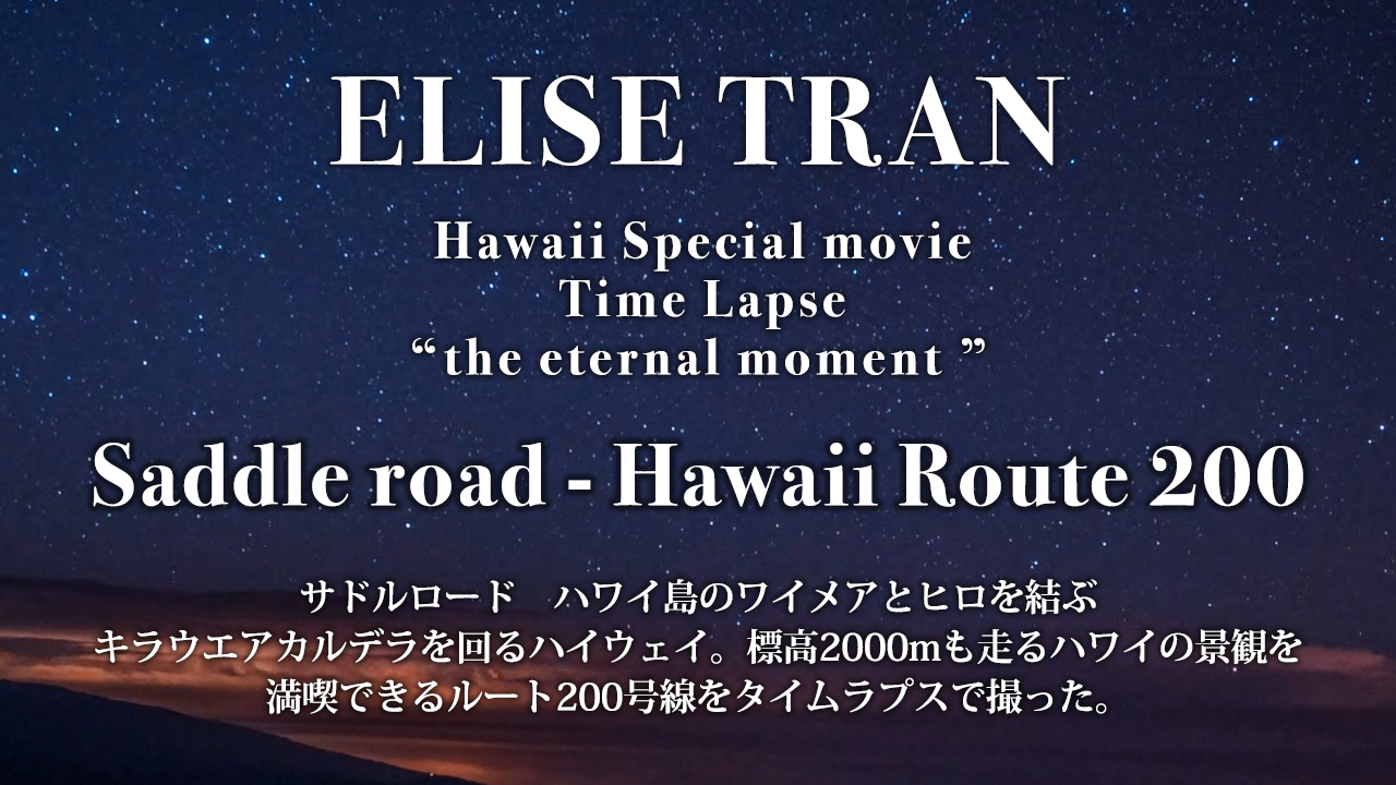 Saddle road－Hawaii Route 200- ELISE TRAN(エリーゼトラン)
