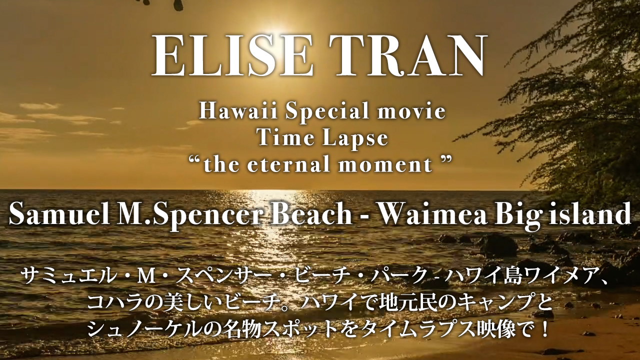 Samuel M.Spencer Beach -Waimea Big island- ELISE TRAN(エリーゼトラン)