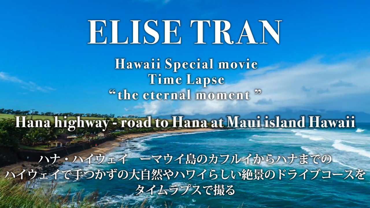 Hana highway - road to Hana at Maui island Hawaii- ELISE TRAN(エリーゼトラン)