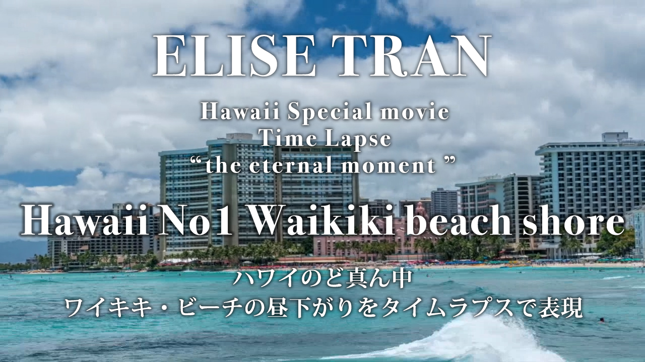 Hawaii No1 Waikiki beach shore- ELISE TRAN(エリーゼトラン)