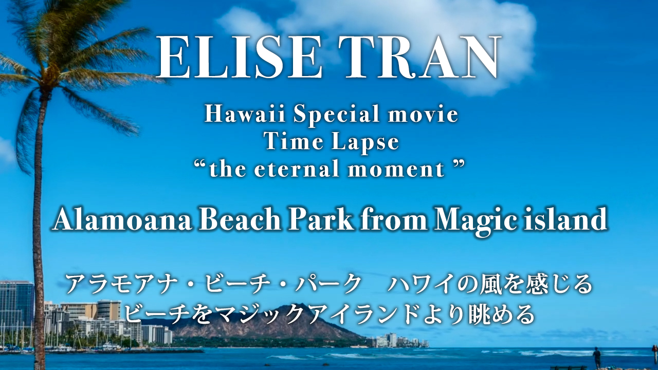 Alamoana Beach Park from Magic island- ELISE TRAN(エリーゼトラン)